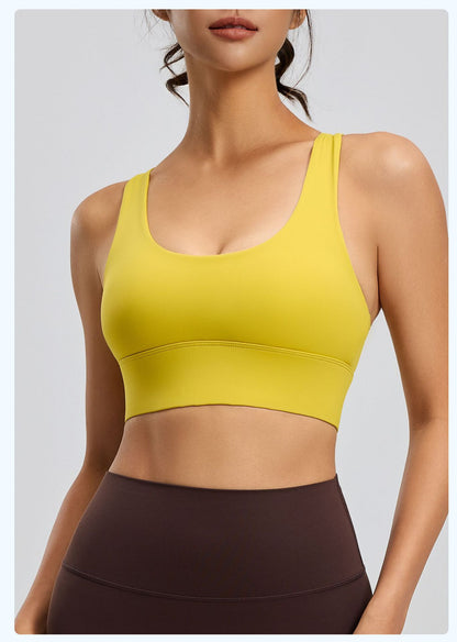 Women's High-Elastic High-Support Shockproof Sports Bra, Removable Pads & Back Hook Closure, Workout Fitness Yoga Bra