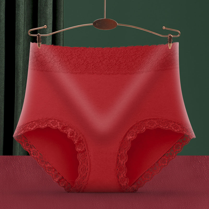 Women’s Plus Size High Waist Cotton Briefs, Seamless Lace Trim Underwear with Cotton Lined Crotch, Multi Color Everyday Panties